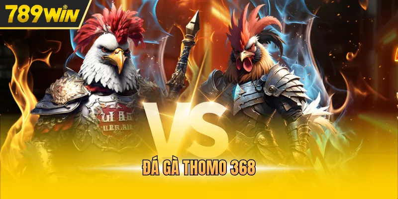 đá gà thomo 368
